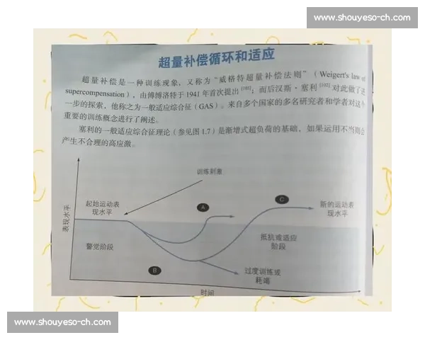 体育科学视角下运动表现提升与运动损伤预防策略研究
